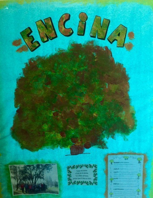encina.jpg