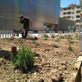 IMG_20180426_132714