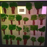 IMG_20180518_102920