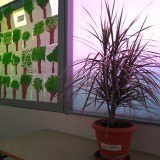 IMG_20180518_103039