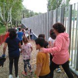 IMG_20180530_105134